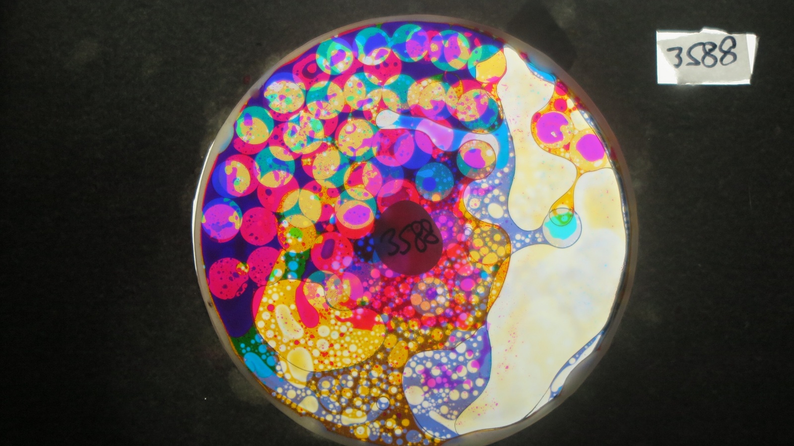 BV3588 bubble vision oil wheel